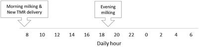 Evaluation of fecal sampling time points to estimate apparent nutrient digestibility in lactating Holstein dairy cows